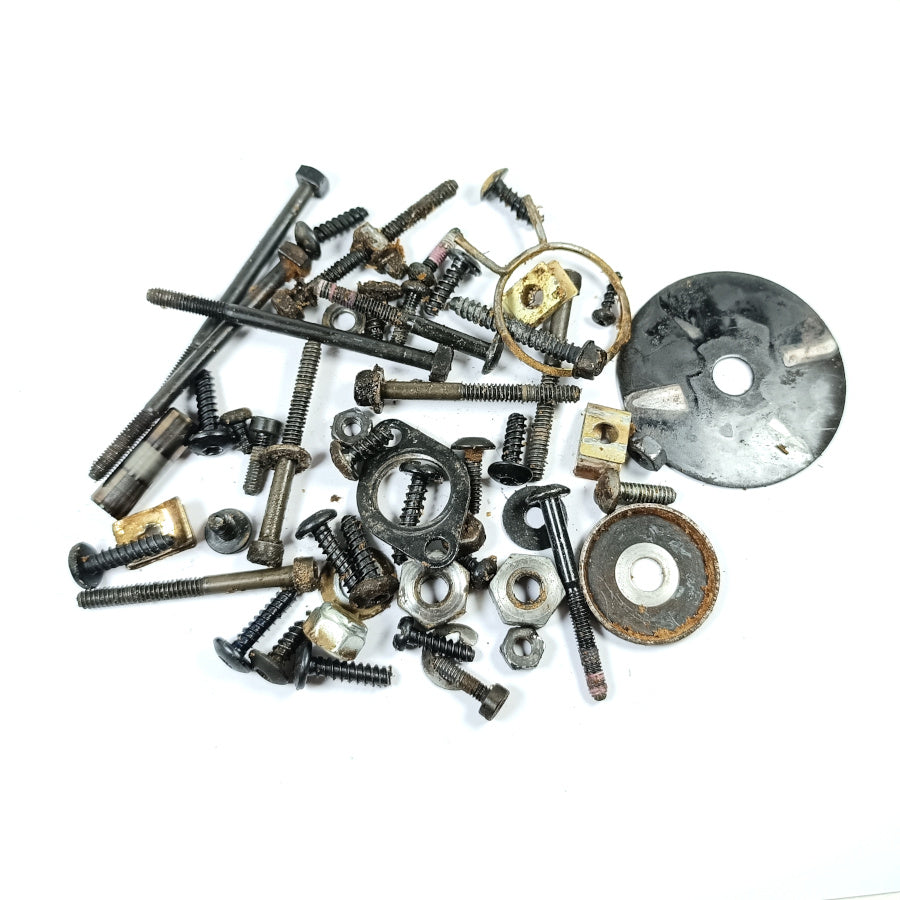 Schraubenpaket Scheiben Muttern für Homelite CSP, HCS Ryobi PCN